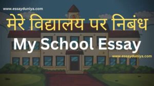 essay in hindi about school