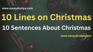 Christmas 10 Lines in Hindi