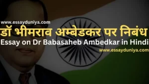 Essay on Dr Babasaheb Ambedkar in Hindi