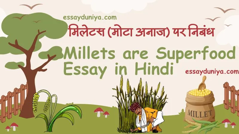 Millets are Superfood Essay in Hindi